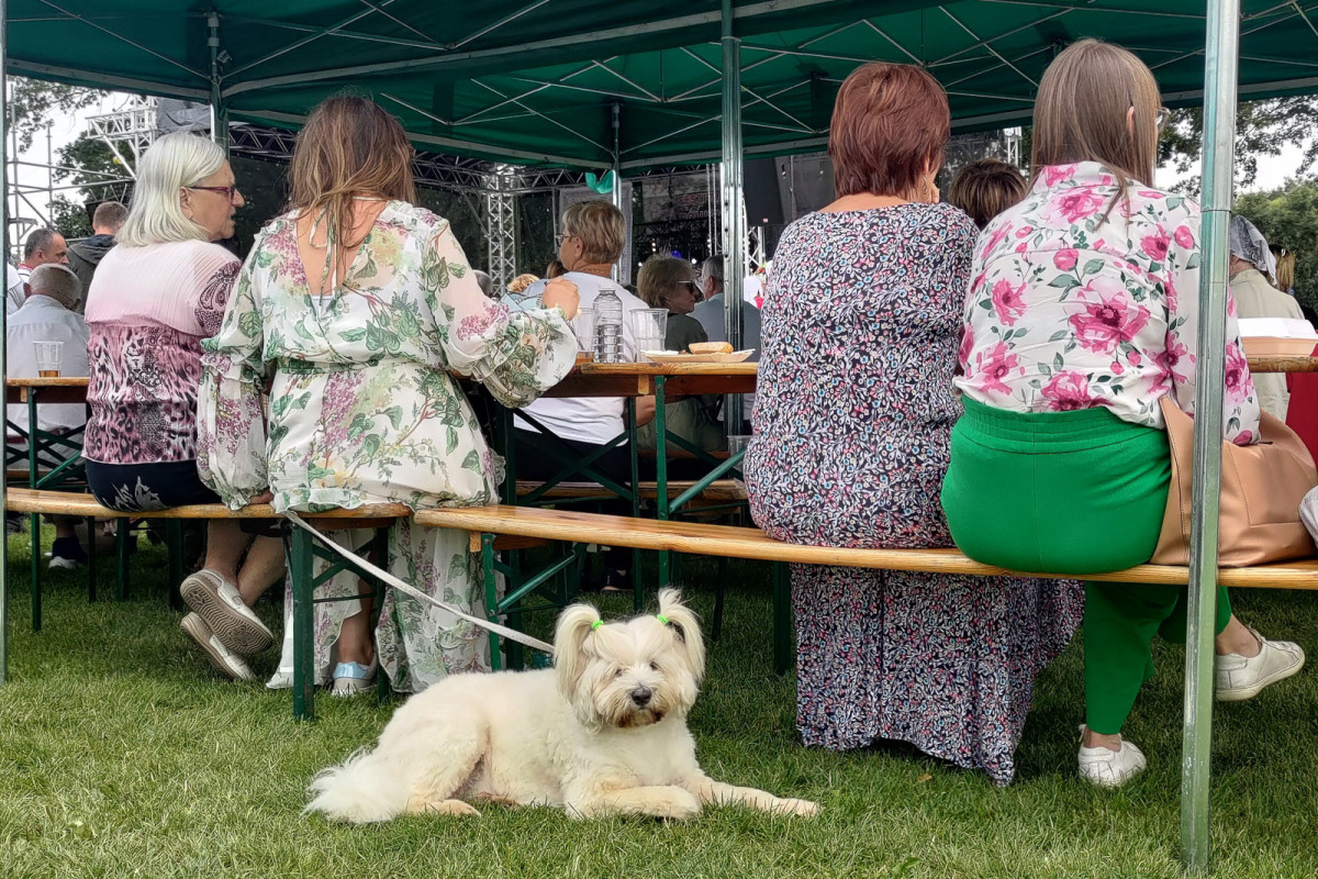Festa Bałkańska w Bolesławicach