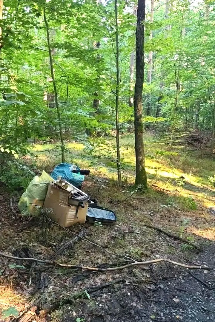 Kolejne dzikie wysypisko w lesie