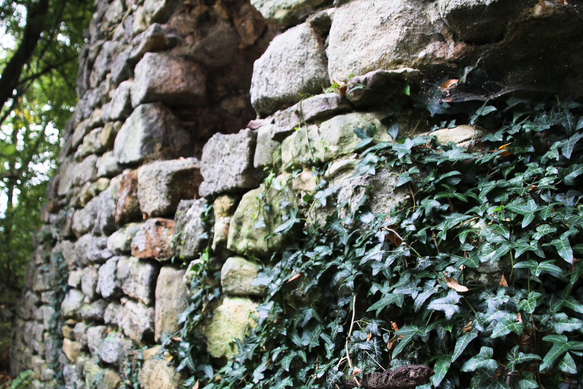 Gwiezdny Zamek Sternburg: magiczne miejsce koło Bolesławca