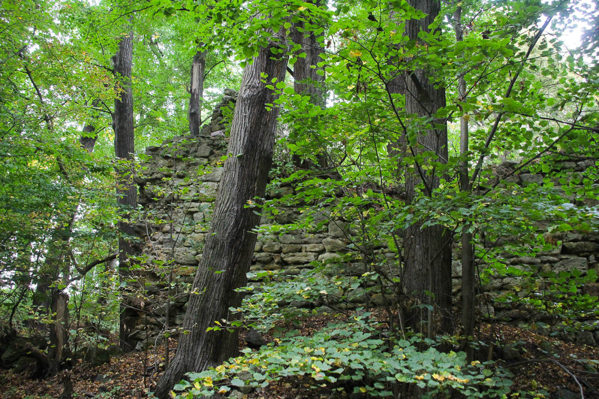 Gwiezdny Zamek Sternburg: magiczne miejsce koło Bolesławca