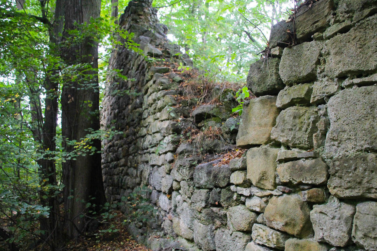 Gwiezdny Zamek Sternburg: magiczne miejsce koło Bolesławca