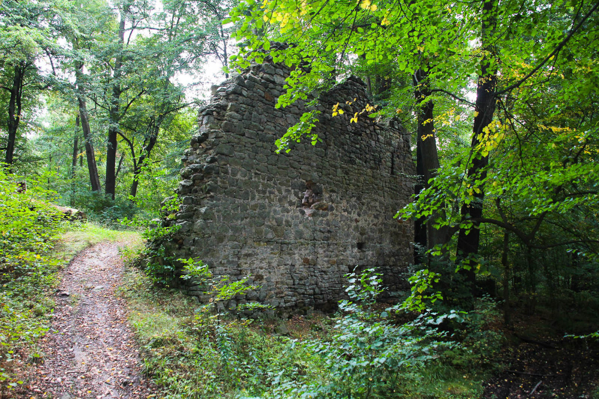 Ruiny Gwiezdnego Zamku Sternburg