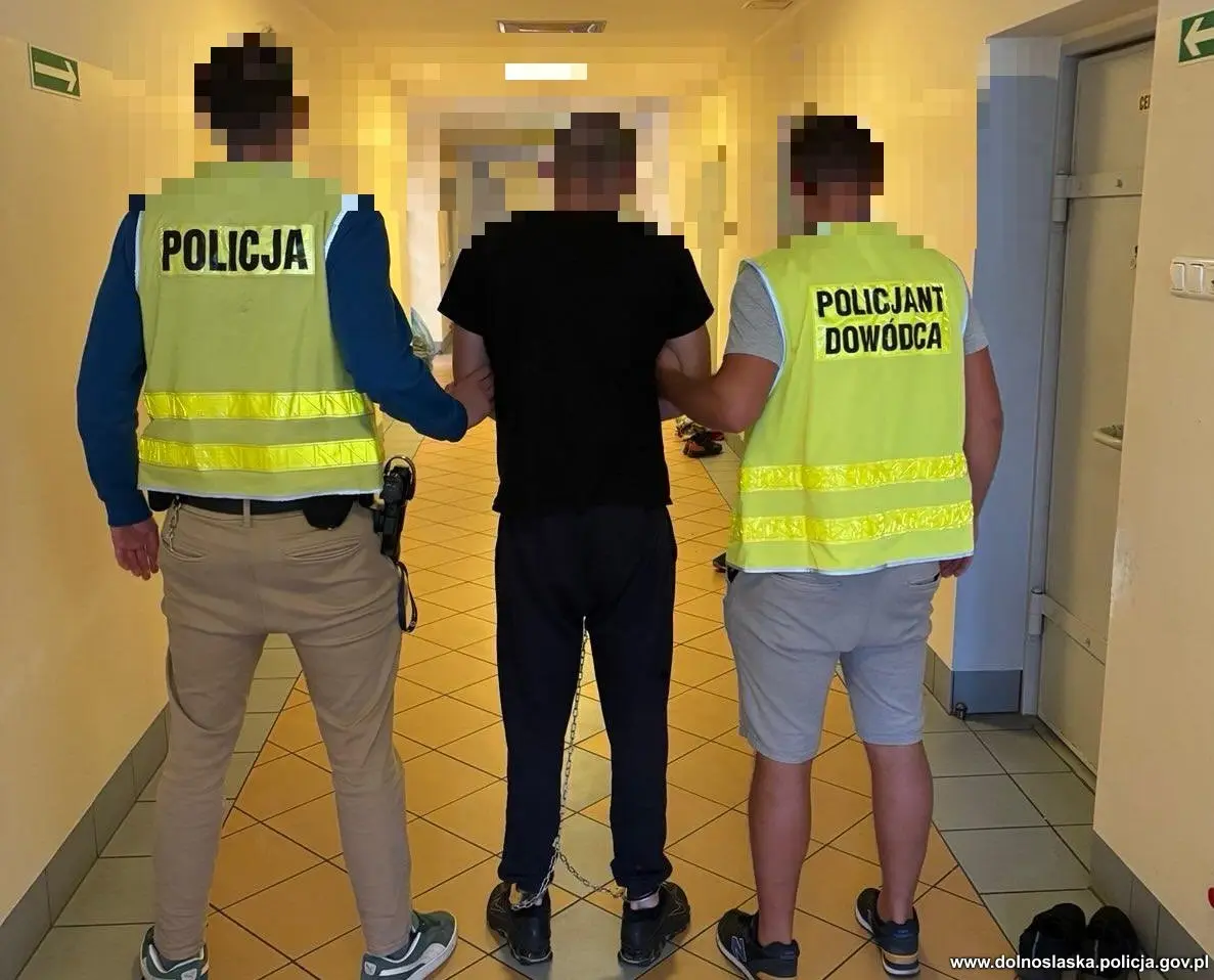 Podejrzany i katana