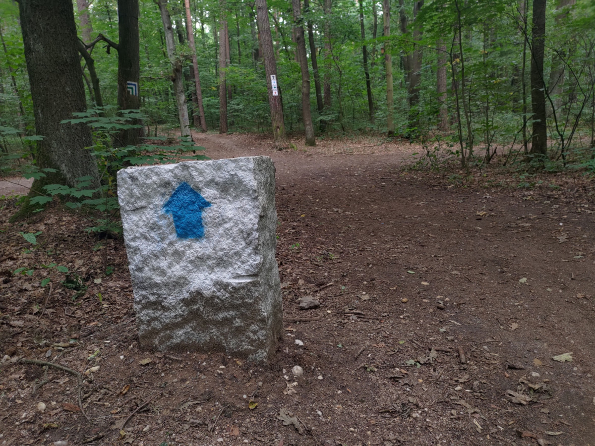 Bolesławiecki Rowerowy Park Umiejętności