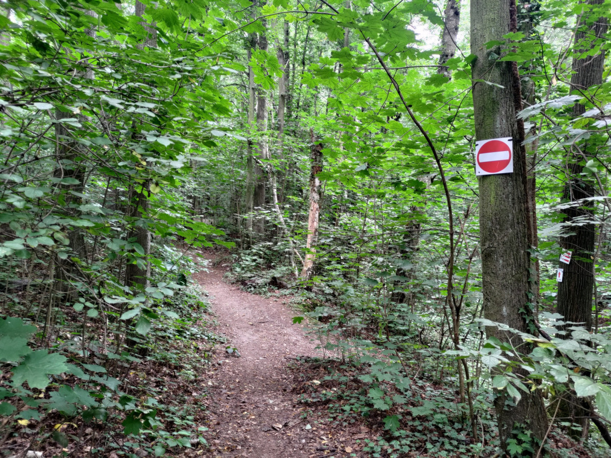 Bolesławiecki Rowerowy Park Umiejętności