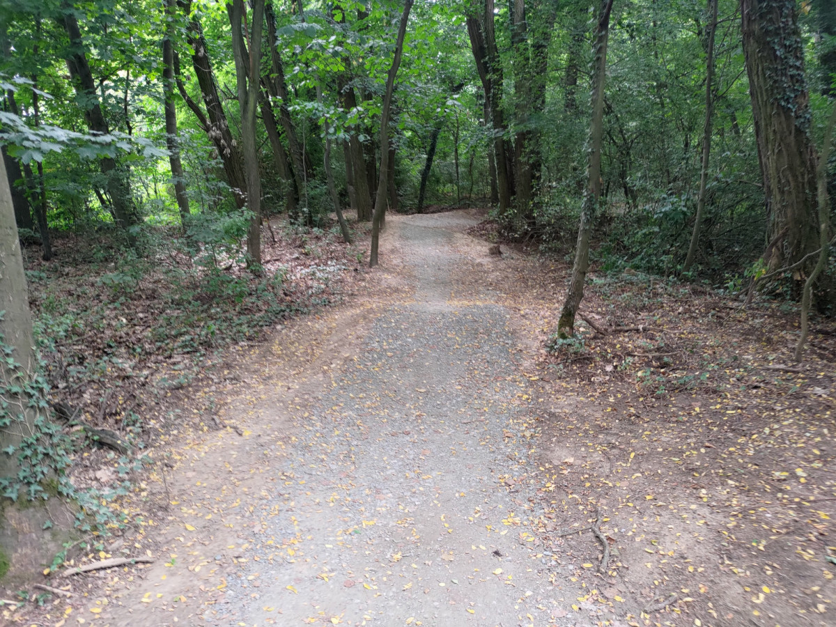 Bolesławiecki Rowerowy Park Umiejętności