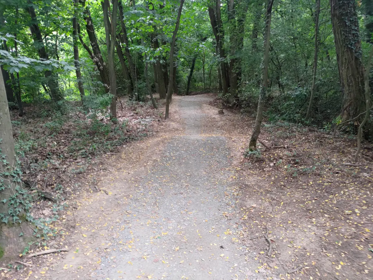 Bolesławiecki Rowerowy Park Umiejętności