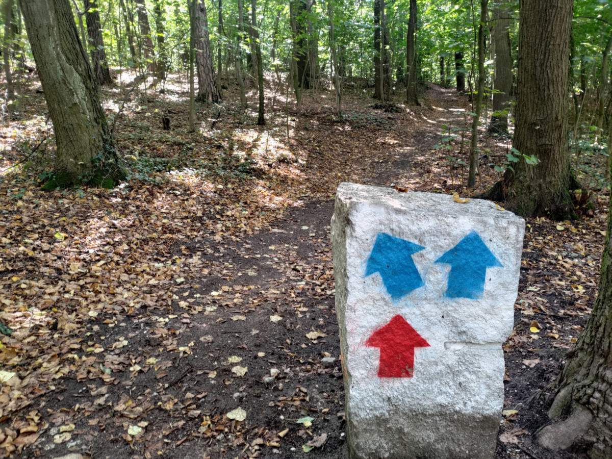 Bolesławiecki Rowerowy Park Umiejętności