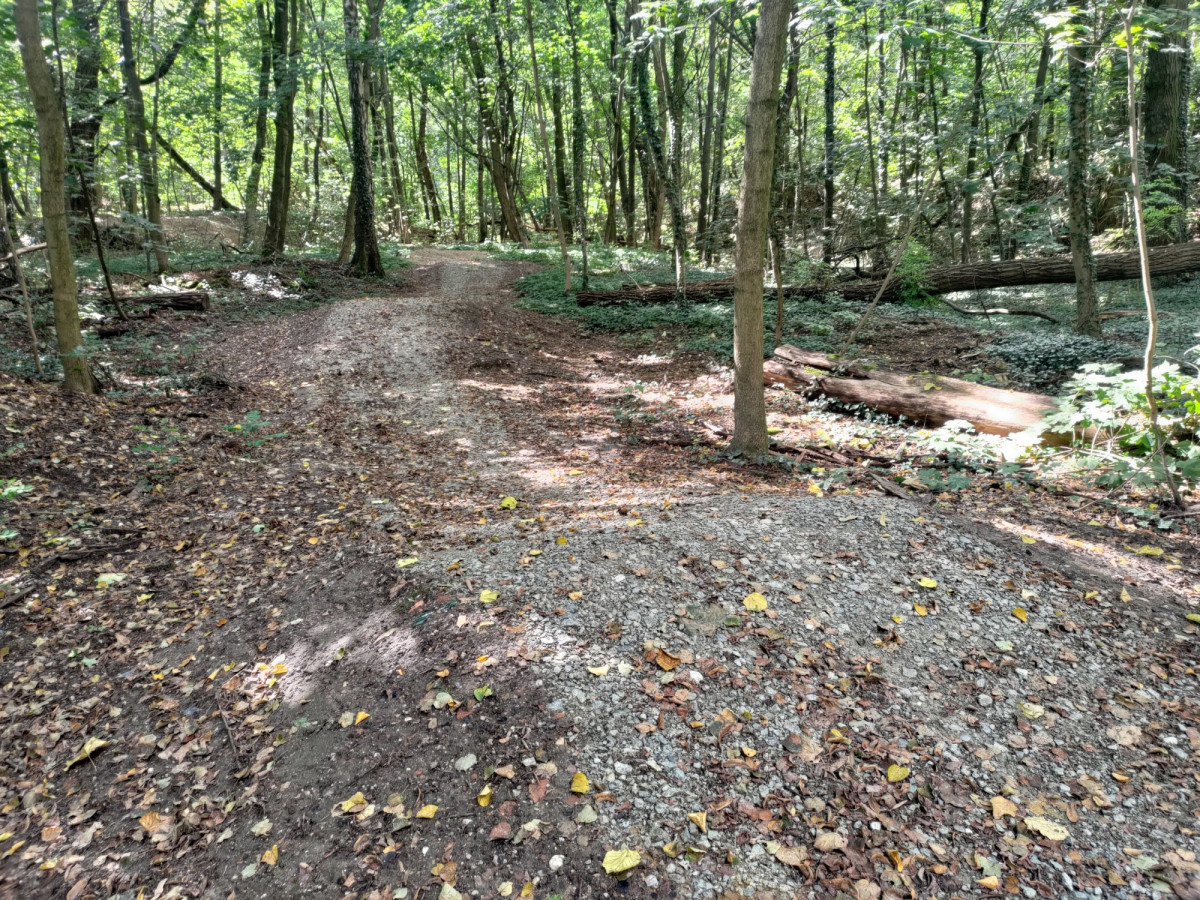 Bolesławiecki Rowerowy Park Umiejętności