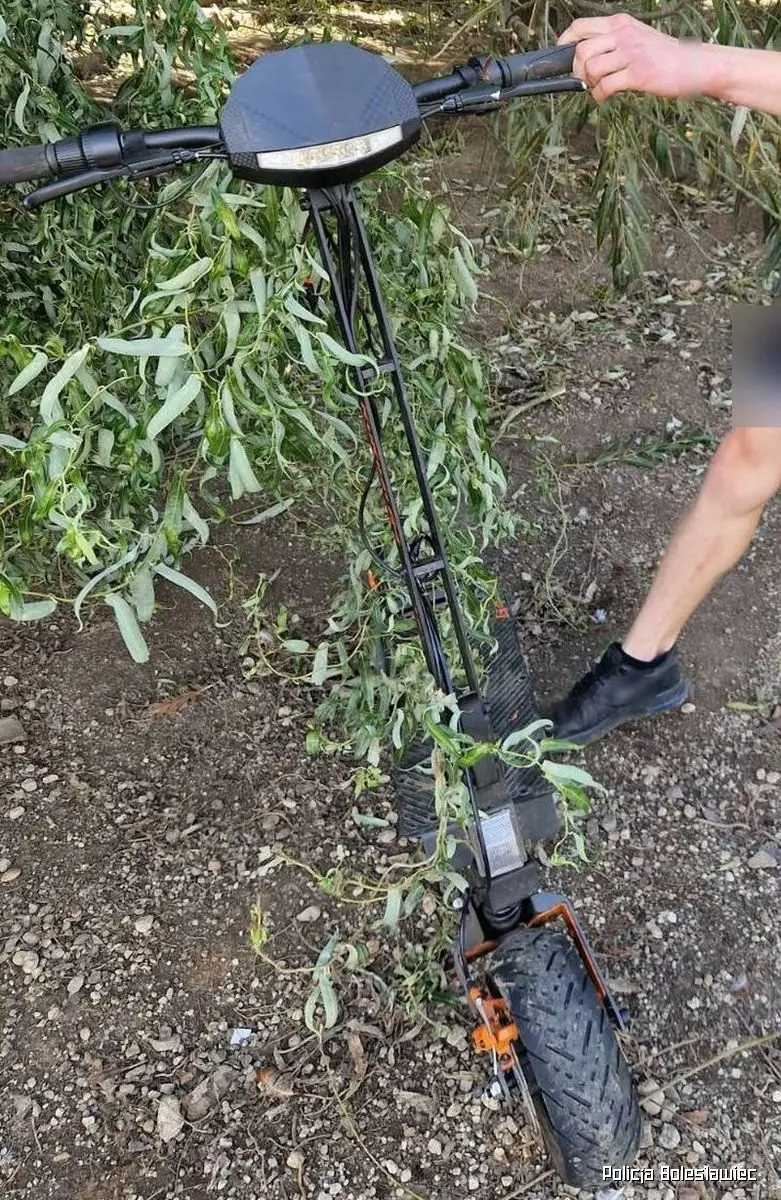 Здобич підлітків