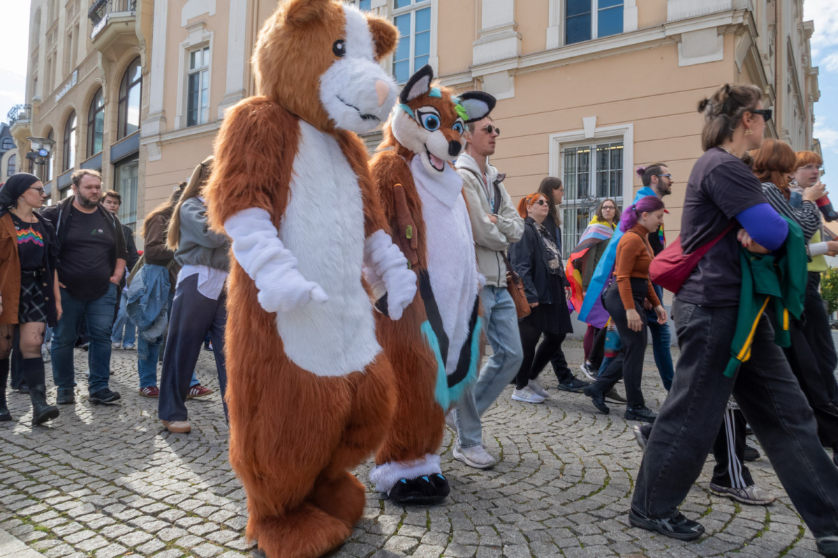 Marsz Równości w Görlitz-Zgorzelec