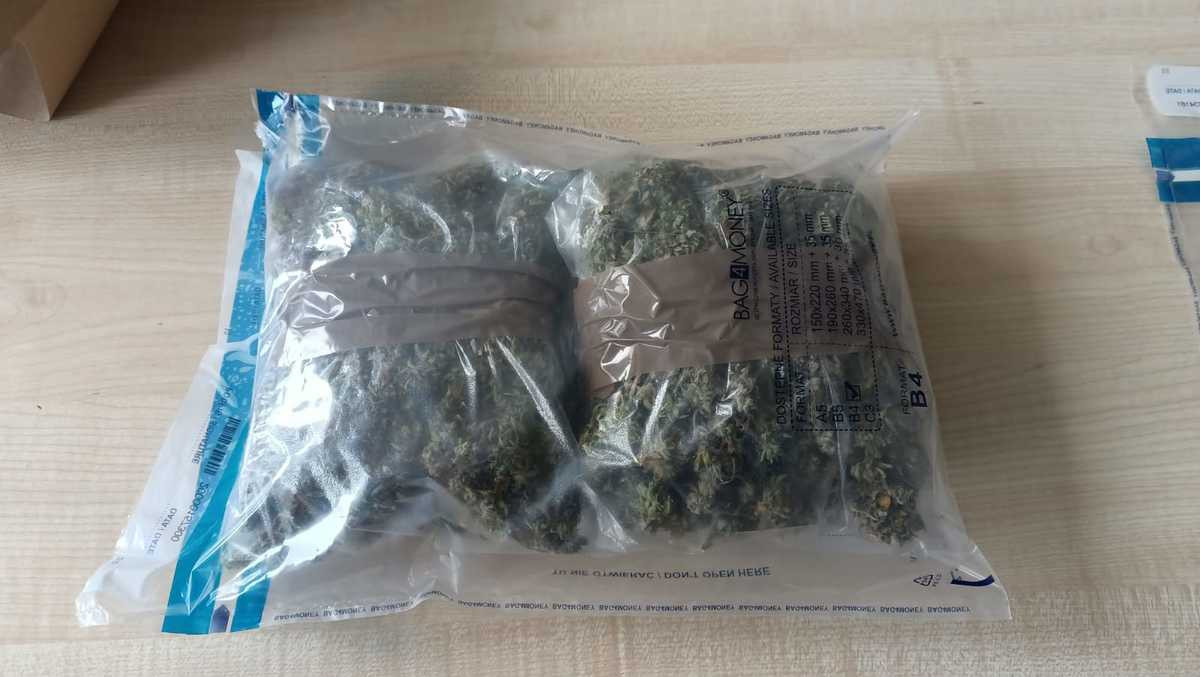 Marihuana i podejrzany