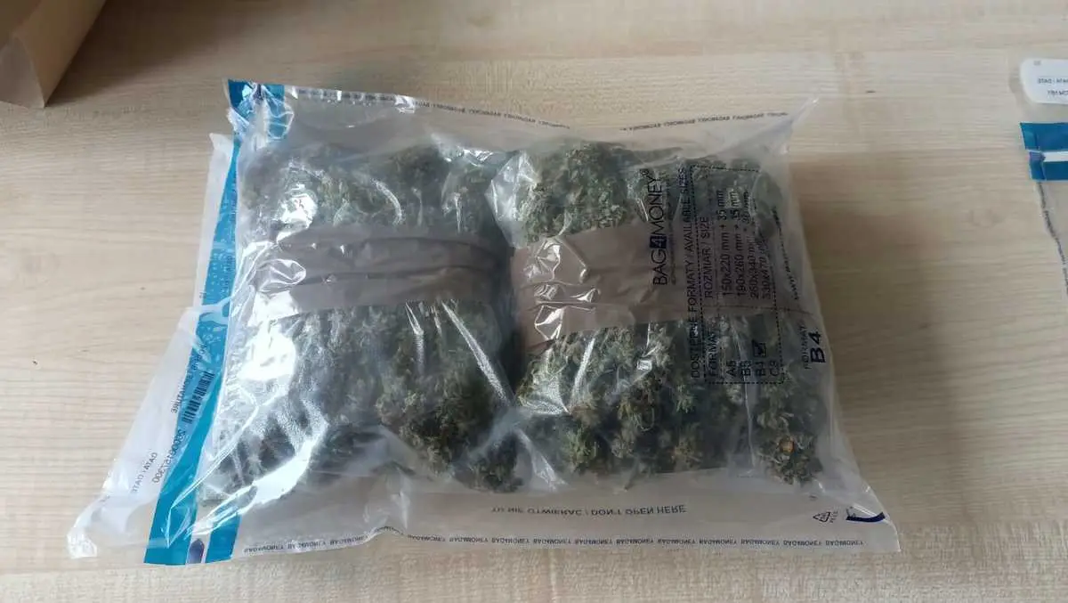 Marihuana i podejrzany