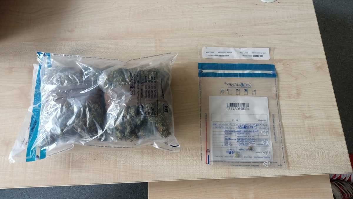 Marihuana i podejrzany