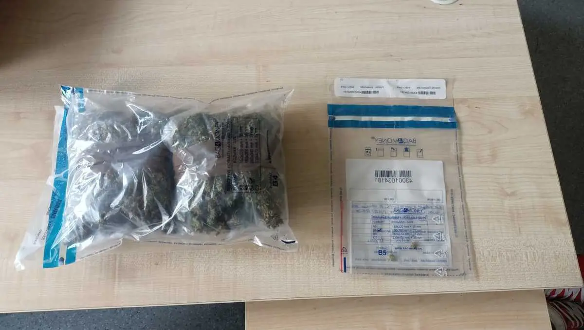 Marihuana i podejrzany