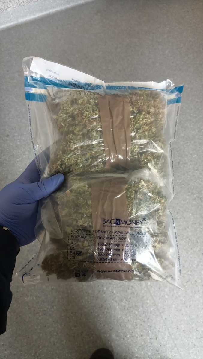 Marihuana i podejrzany