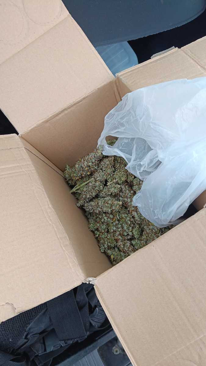 Marihuana i podejrzany