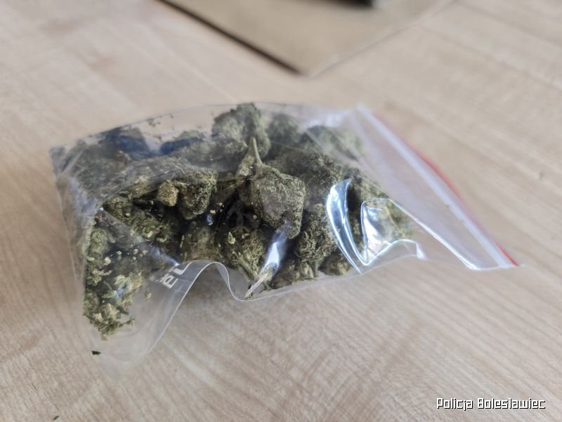 Przechwycone narkotyki