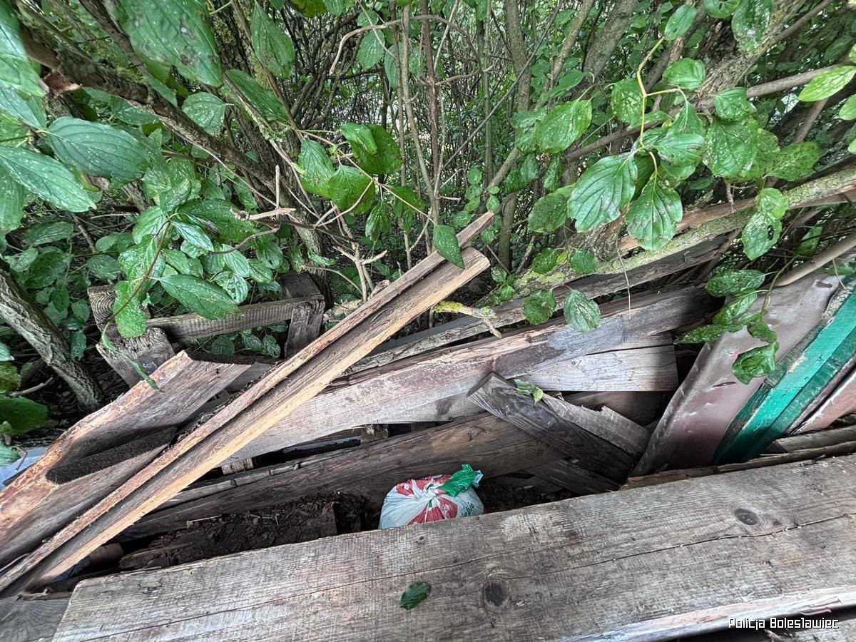 Przechwycone narkotyki