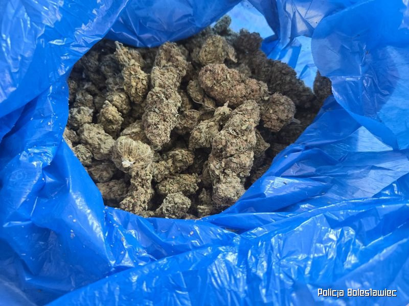 Przechwycone narkotyki