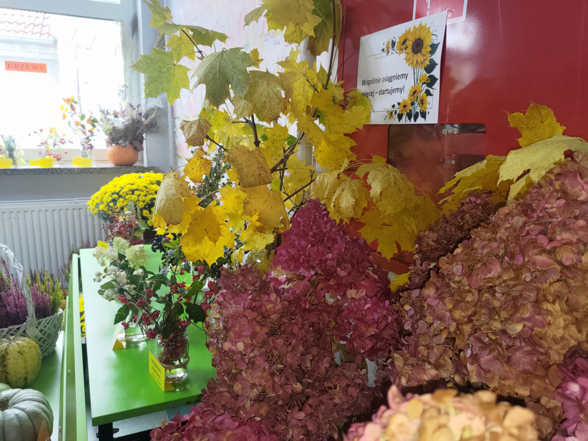 Święto szkoły w Osiecznicy