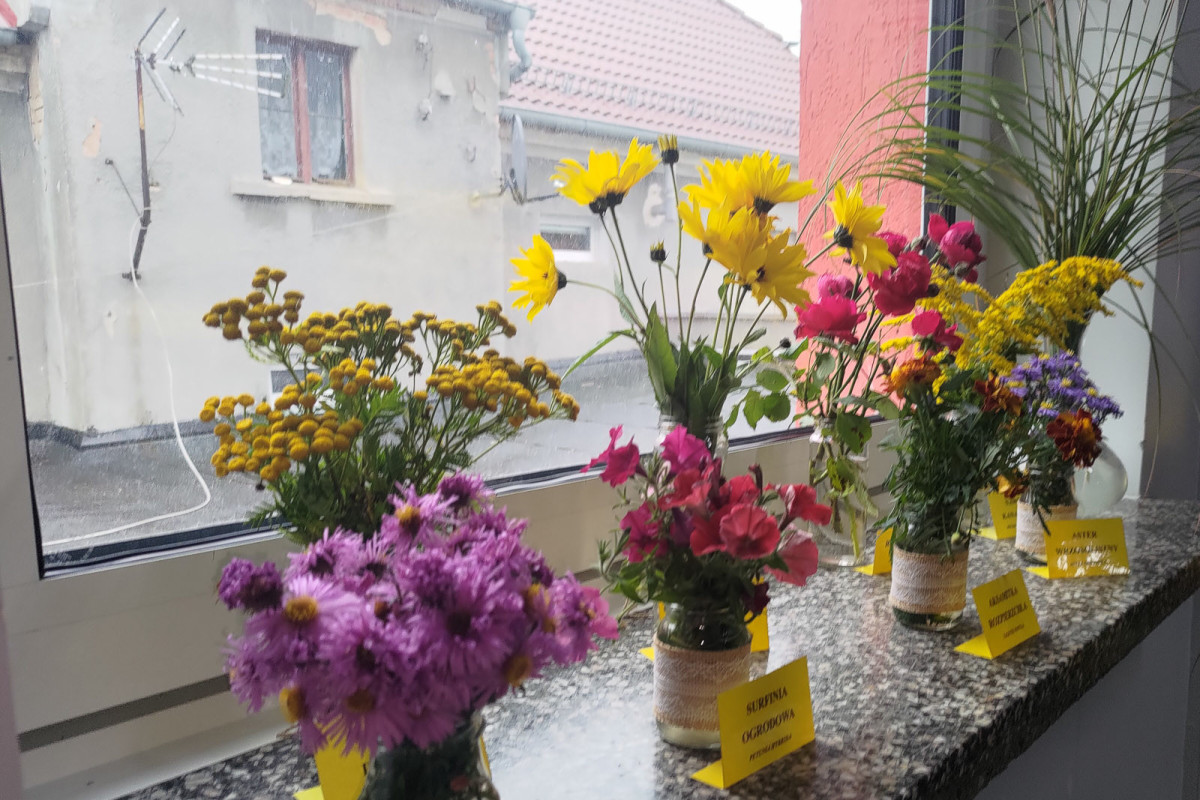 Święto szkoły w Osiecznicy