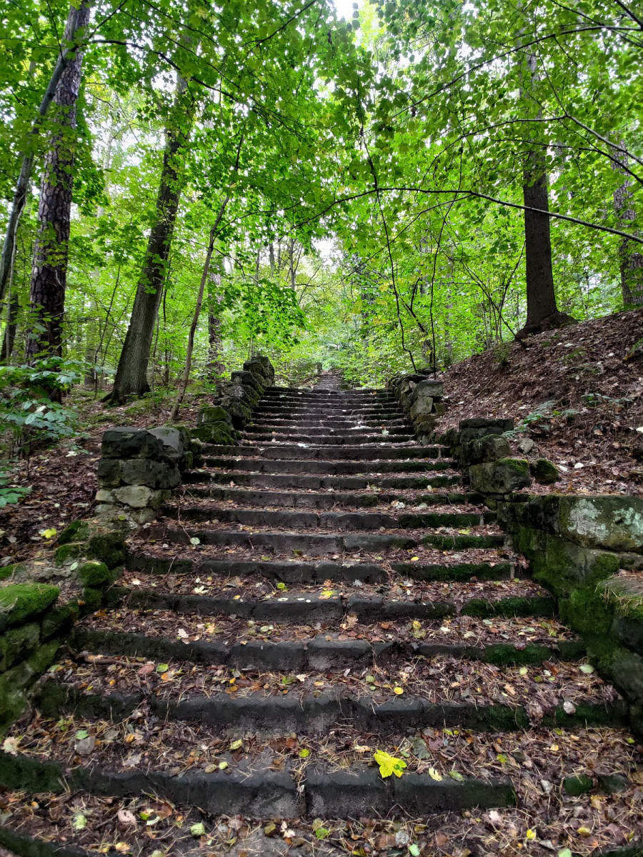 Zabytkowe schody w lesie przy ulicy Jeleniogórskiej w Bolesławcu