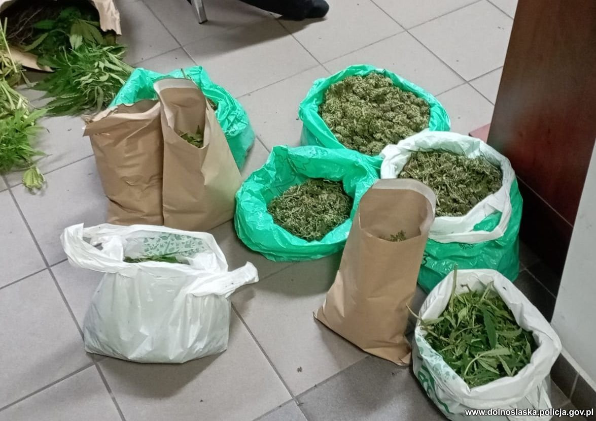 Przechwycone narkotyki