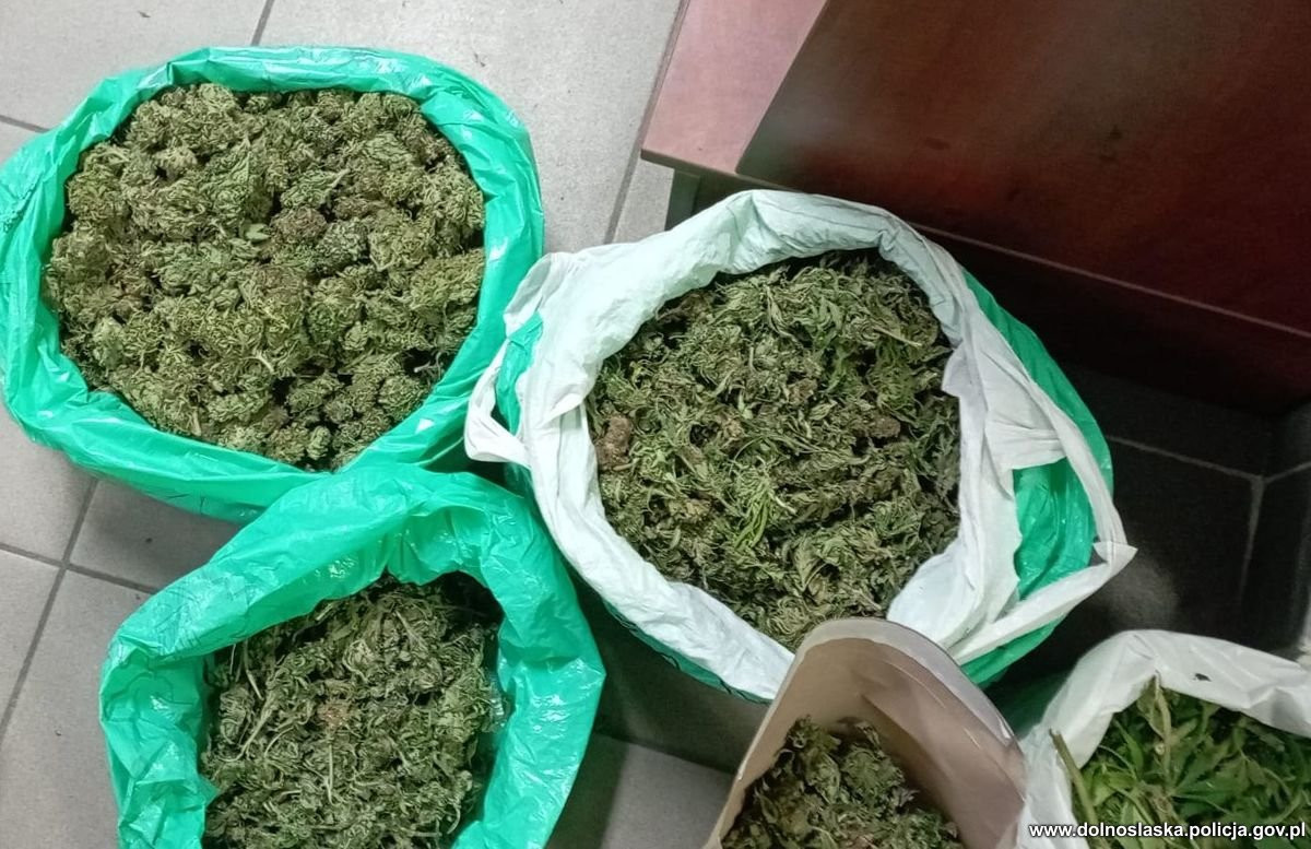 Przechwycone narkotyki