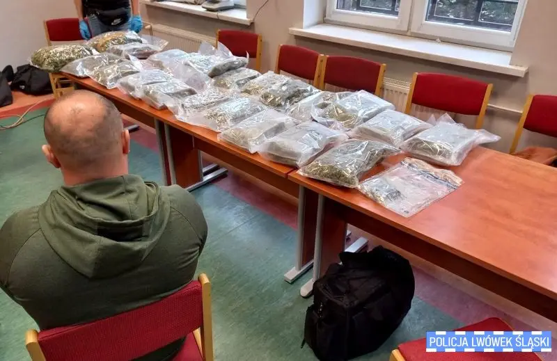 Понад 2,5 тонни марихуани та 400 кг амфетаміну… Міжнародні злочинні угруповання розгромлено