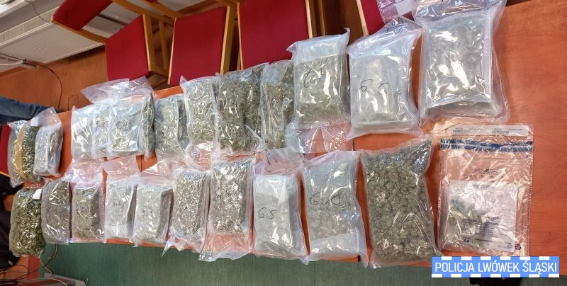 Ponad 2,5 tony marihuany i 400 kg amfetaminy... Rozbite międzynarodowe grupy przestępcze