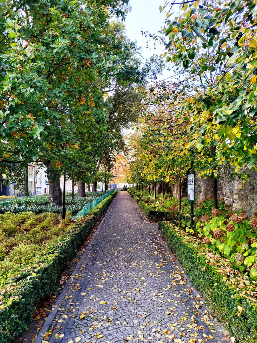 Coraz mniej ławek na terenie miasta. MZGM tłumaczy