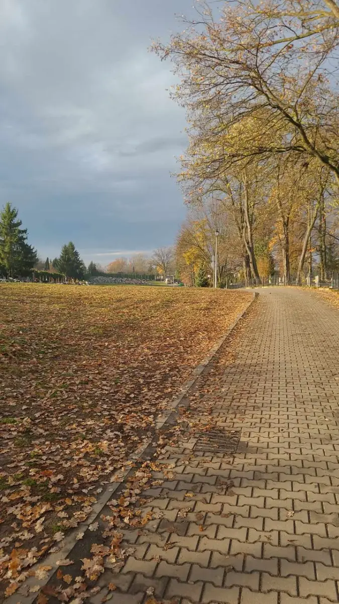Zdarzenie na cmentarzu