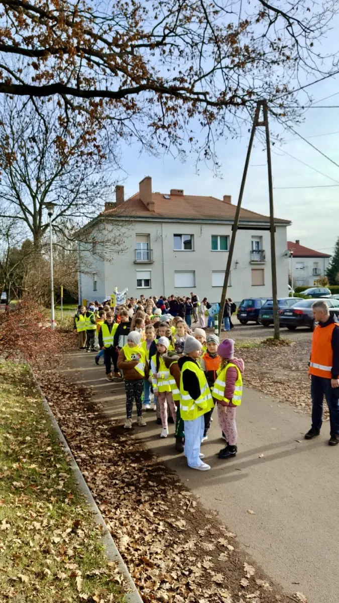 Projekt ZSP Iwiny