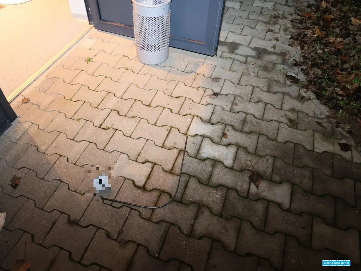 Podejrzany, łup i narkotyki