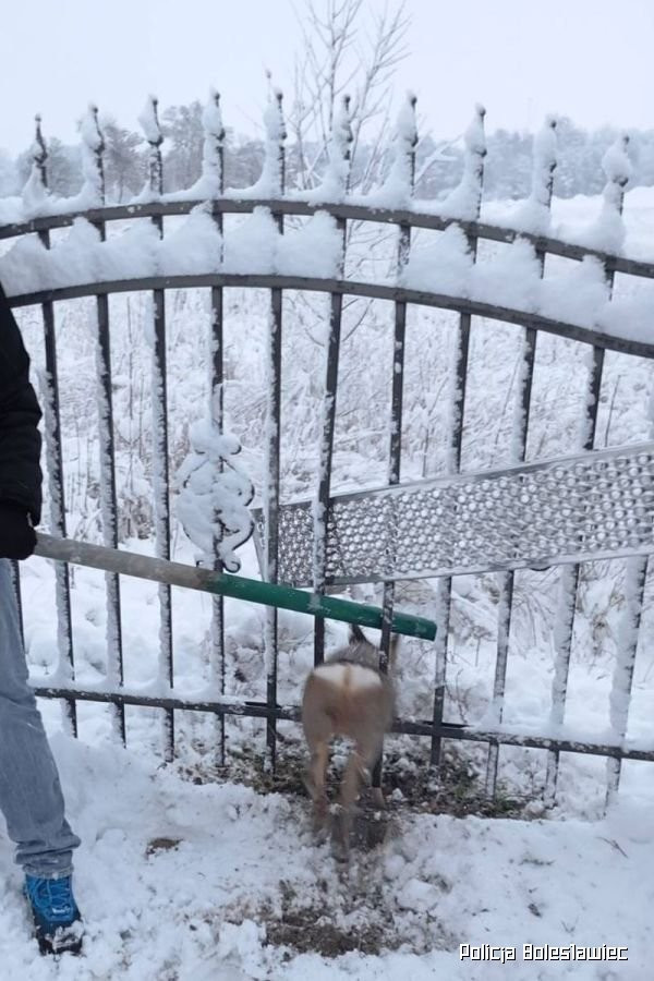 Interwencja mundurowych z Kruszyna