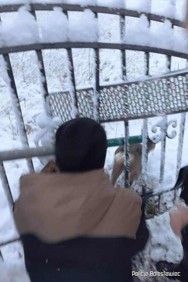 Interwencja mundurowych z Kruszyna