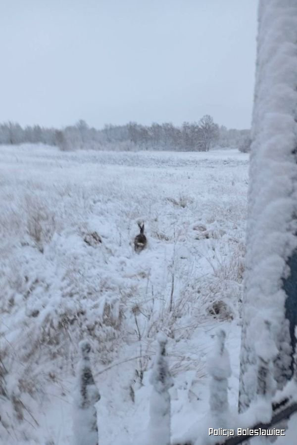 Interwencja mundurowych z Kruszyna