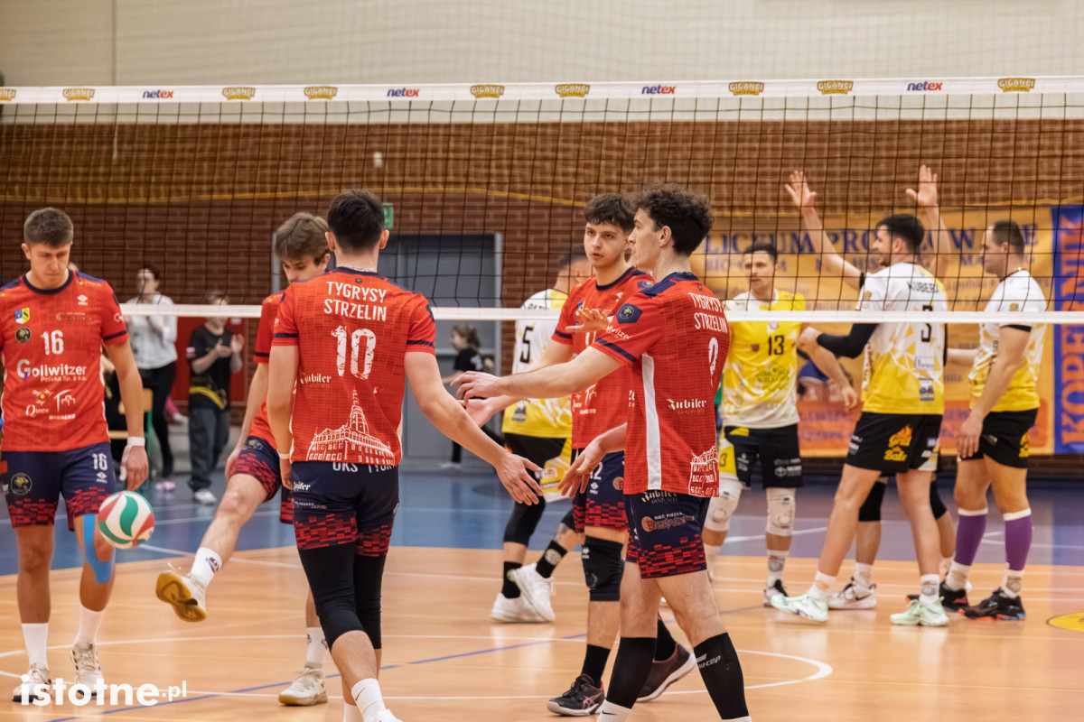 Mecz BTS Willowa Bolesławiec – UKS Tygrysy Strzelin