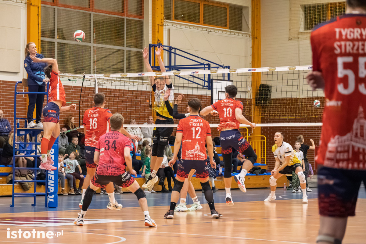 Mecz BTS Willowa Bolesławiec – UKS Tygrysy Strzelin