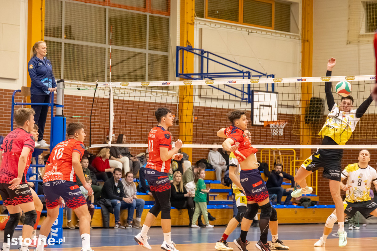 Mecz BTS Willowa Bolesławiec – UKS Tygrysy Strzelin
