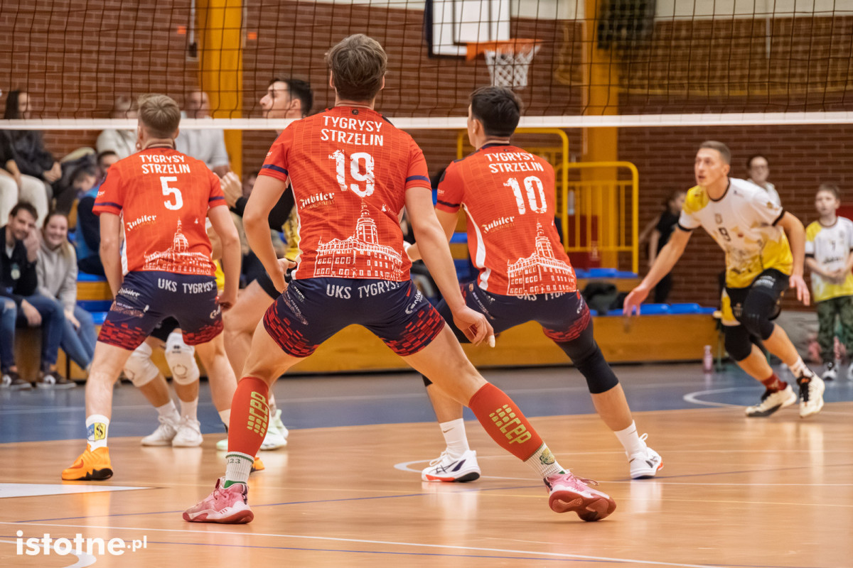 Mecz BTS Willowa Bolesławiec – UKS Tygrysy Strzelin