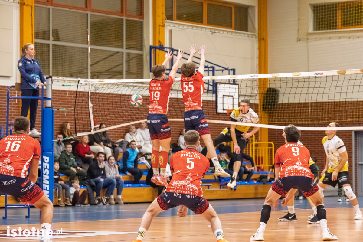 Mecz BTS Willowa Bolesławiec – UKS Tygrysy Strzelin