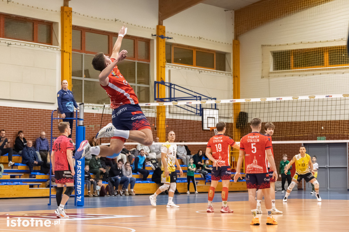 Mecz BTS Willowa Bolesławiec – UKS Tygrysy Strzelin