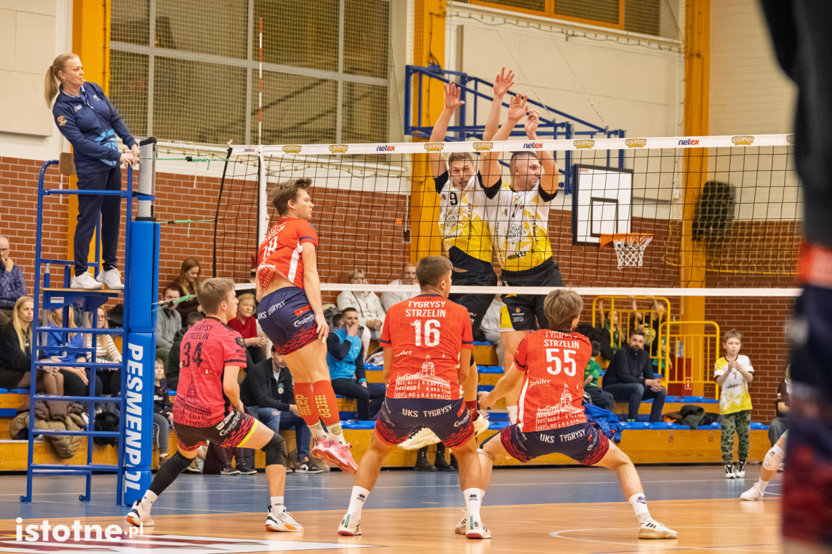 Mecz BTS Willowa Bolesławiec – UKS Tygrysy Strzelin