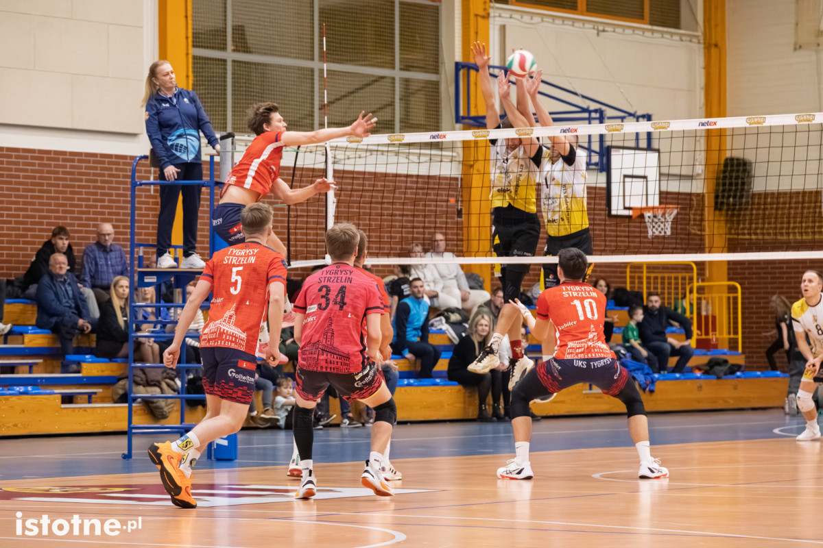 Mecz BTS Willowa Bolesławiec – UKS Tygrysy Strzelin