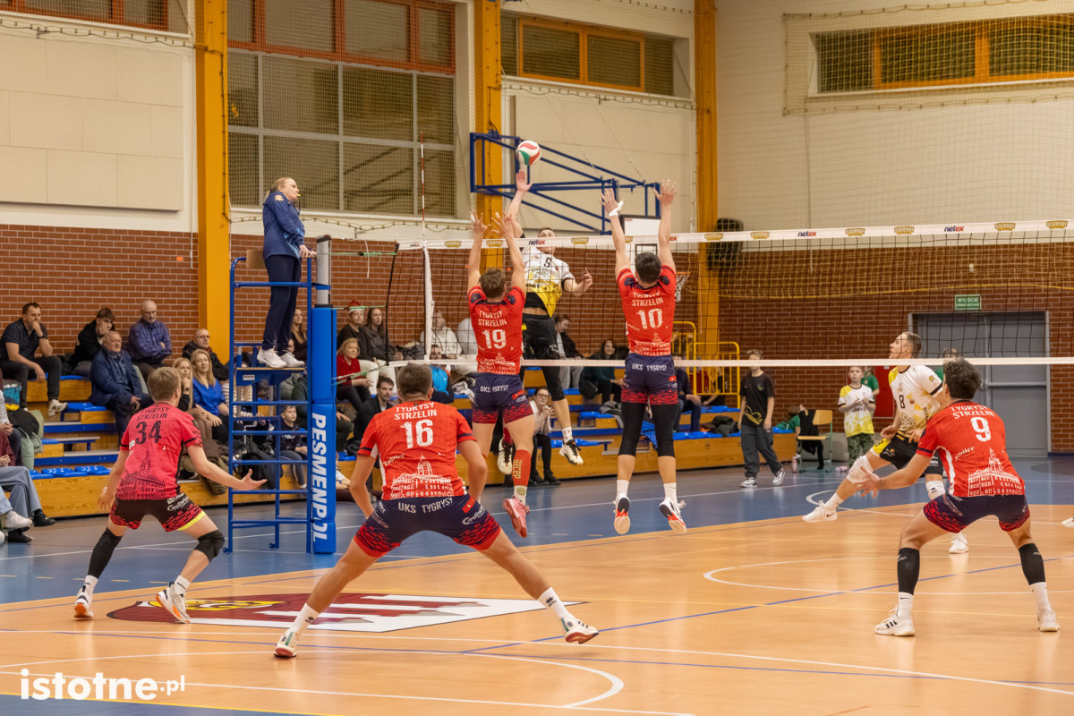 Mecz BTS Willowa Bolesławiec – UKS Tygrysy Strzelin