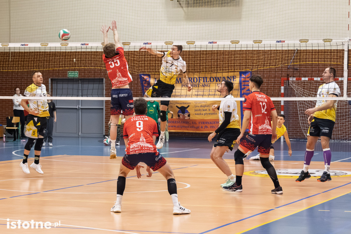 Mecz BTS Willowa Bolesławiec – UKS Tygrysy Strzelin