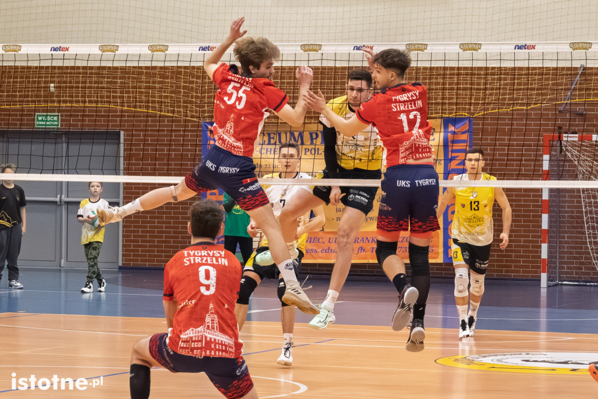 Mecz BTS Willowa Bolesławiec – UKS Tygrysy Strzelin