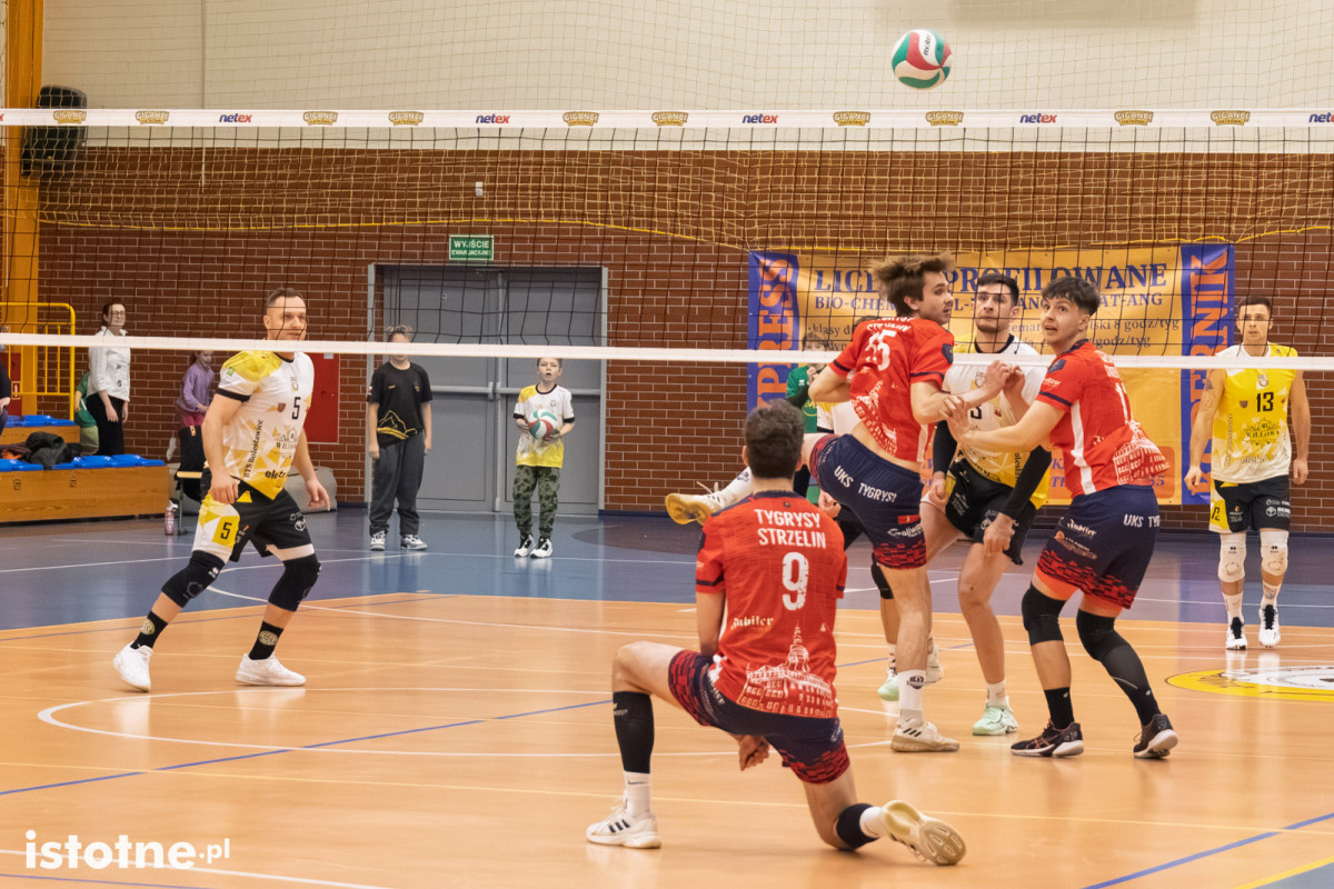 Mecz BTS Willowa Bolesławiec – UKS Tygrysy Strzelin